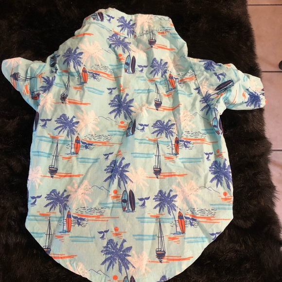 Pet posse button up puppy top. Size medium . - Picture 3 of 5